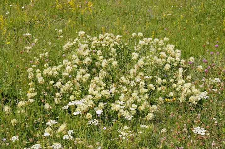 Monti Sibillini